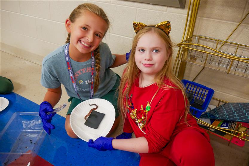 Students study earthworms in class